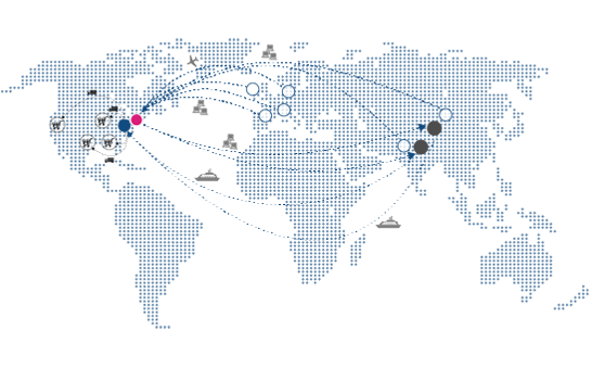 Network